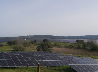 Maior central solar da EDP na Europa fica em Alenquer